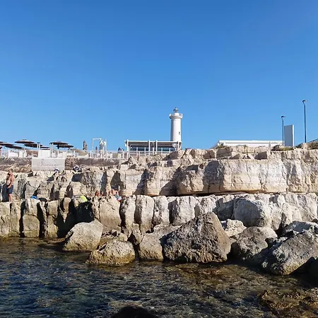 Oasi Di Бруколи