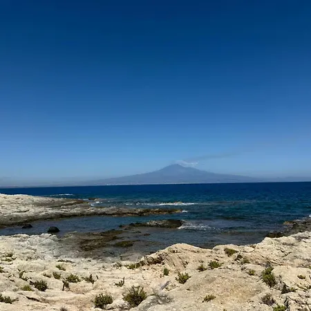 Oasi Di Бруколи