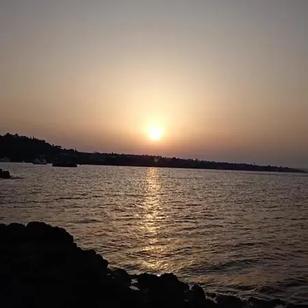 Oasi Di Бруколи