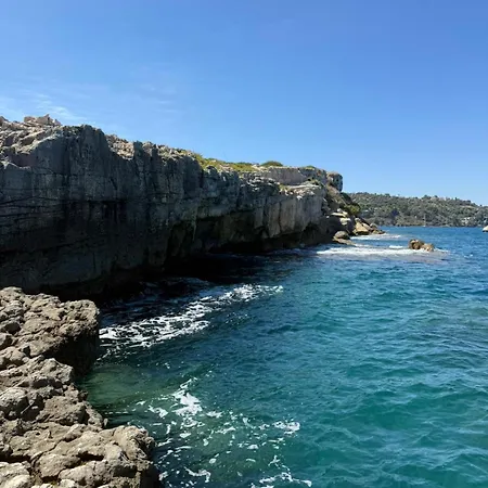 Oasi Di Бруколи